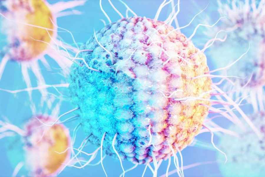 Una proteína puede proteger contra la propagación del virus del herpes