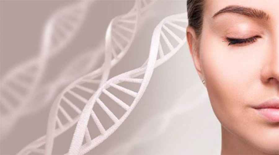  Investigadores espa&ntilde;oles han descrito en ratones c&oacute;mo todas las c&eacute;lulas madre musculares no envejecen igual, y han identificado un subgrupo con una capacidad regenerativa superior que se mantiene hasta la edad geri&aacute;trica