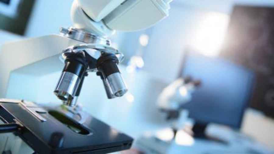 Farmac&eacute;uticos identifican una mol&eacute;cula que favorece la diabetes