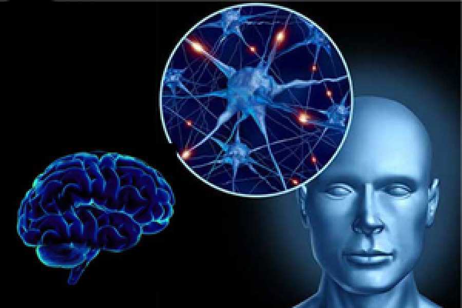 Las alucinaciones visuales son el resultado de una conexi&oacute;n deficiente de las &aacute;reas cerebrales implicadas en la atenci&oacute;n y el procesamiento visual con el resto del cerebro.