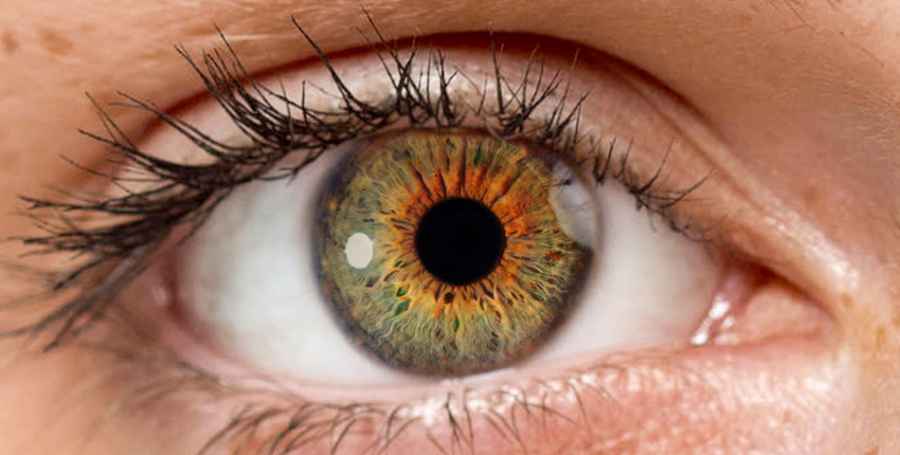 Un gel que se adhiere a la superficie del ojo podría reparar lesiones sin cirugía