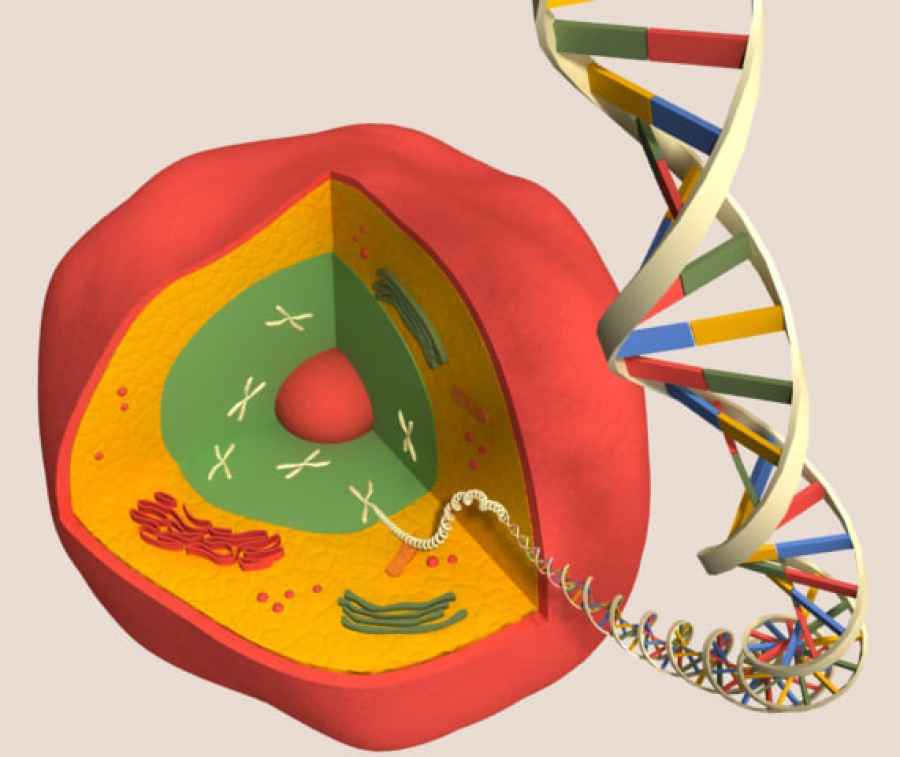 Cu&aacute;l fue el avance del a&ntilde;o seg&uacute;n la revista Science