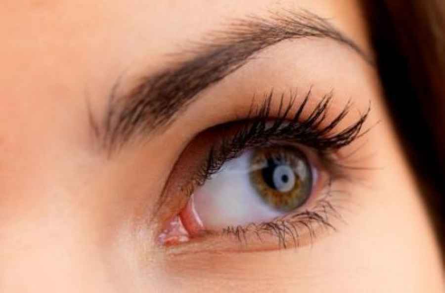 El estudio publicado en Journal of Experimental Medicine provee nuevas herramientas para el estudio y potencial tratamiento de la causa principal de ceguera en adultos. Es el resultado de una colaboraci&oacute;n entre investigadores del CONICET y cient&iacute;ficos argentinos residentes en el exterior.