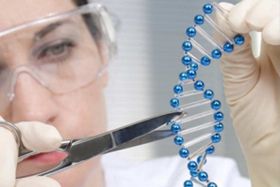 Dos estudios publicados de forma simult&aacute;nea en Science y Nature ampl&iacute;an las fronteras de las t&eacute;cnicas CRISPR.