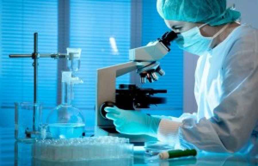 Medicamentos para la hipercolesterolemia podrían estimular inmunoterapias