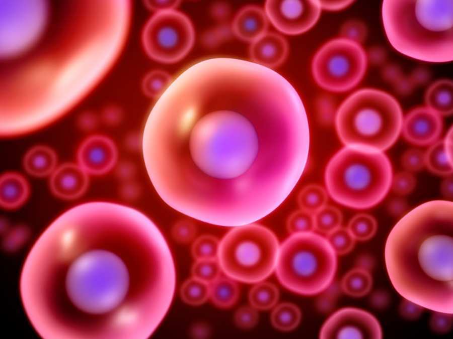 Evitan el bloqueo de las terapias y buscan caminos alternativos para seguir creciendo y expandirse.