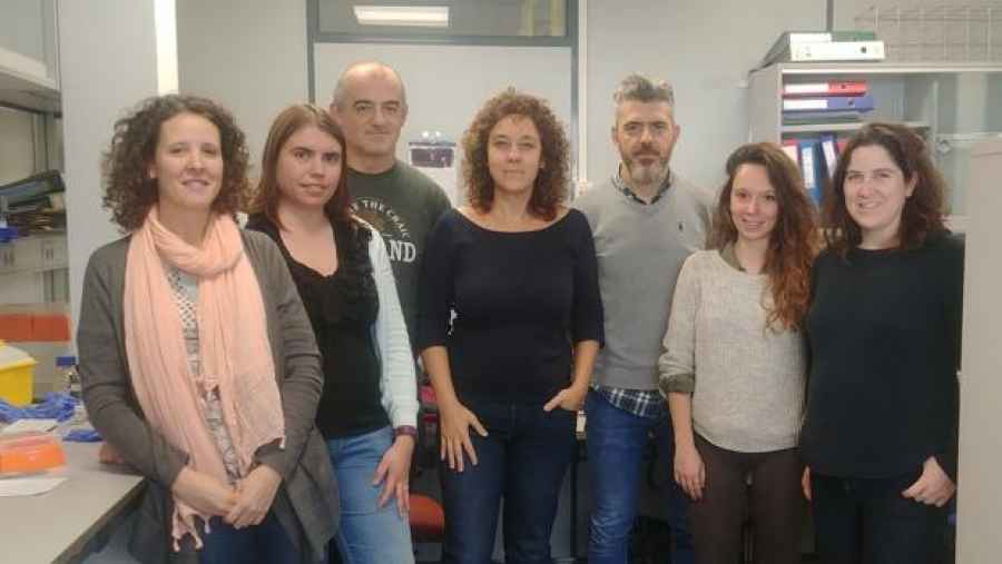 Descubren c&oacute;mo frenar el c&aacute;ncer de cerebro m&aacute;s mortal