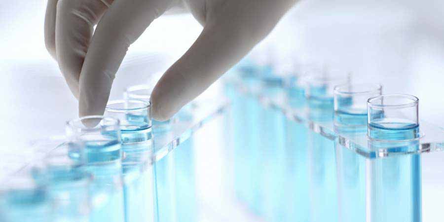 Investigadores del CONICET  aplicaron un gel que promueve la reconstrucci&oacute;n de huesos en un modelo de lesi&oacute;n en animales, y los resultados fueron exitosos.