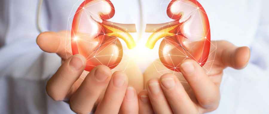 Descubren un potencial blanco terapéutico para la insuficiencia renal aguda