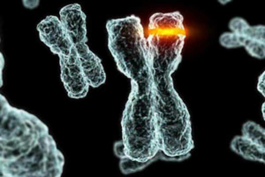 Cient&iacute;ficos del Wellcome Trust Sanger Institute, en Reino Unido, y colaboradores han proporcionado estimaciones no sesgadas del n&uacute;mero de mutaciones necesarias para desarrollar c&aacute;nceres, en un estudio de m&aacute;s de 7.500 tumores de 29 tipos de c&aacute;ncer. 