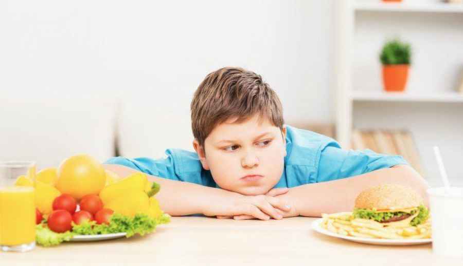 Investigación argentina: la comida “chatarra” provoca sobrepeso hereditario
