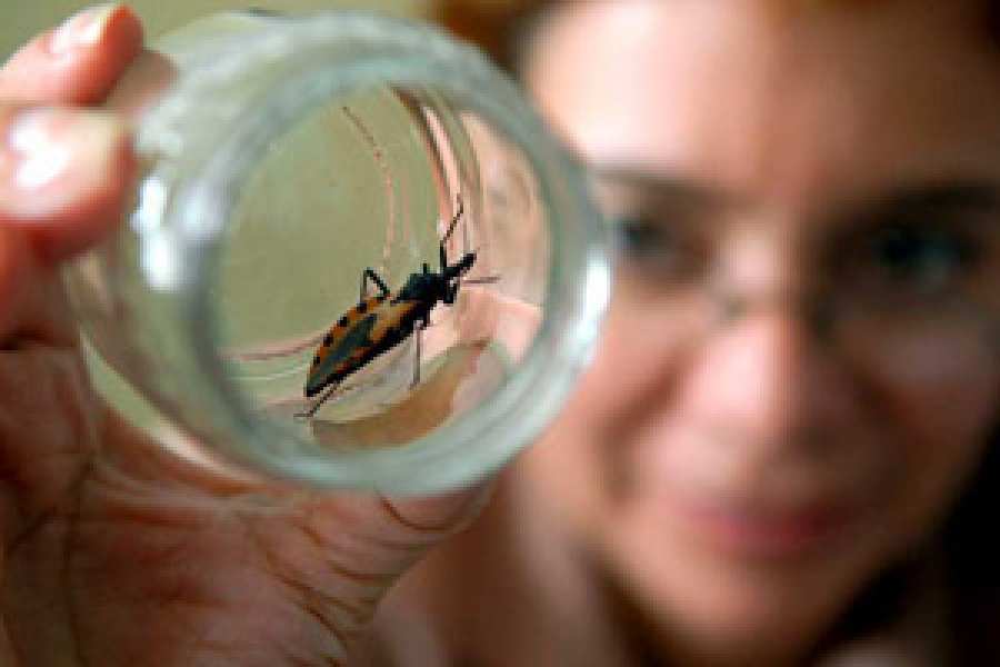 Estados Unidos aprueba el benznidazol para el tratamiento de niños con la enfermedad de Chagas.