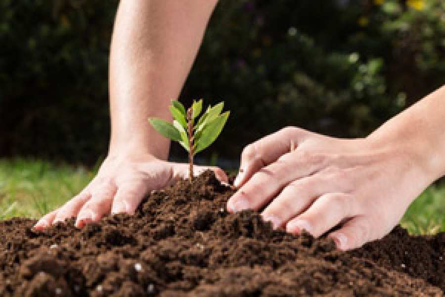 El reconocido laboratorio argentino da a conocer los resultados econ&oacute;micos, ambientales y sociales que corresponden a su operaci&oacute;n en Argentina dentro del bienio 2015/2016