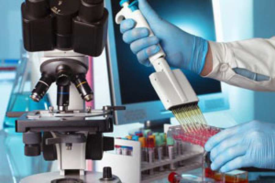 Usan células madres para revertir la diabetes