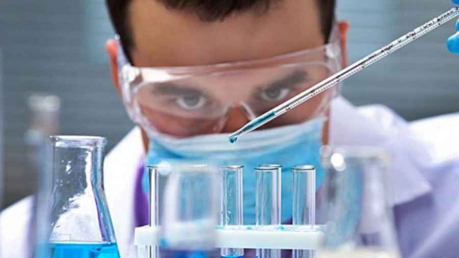 Crean un sistema para predecir brotes de dengue y zika