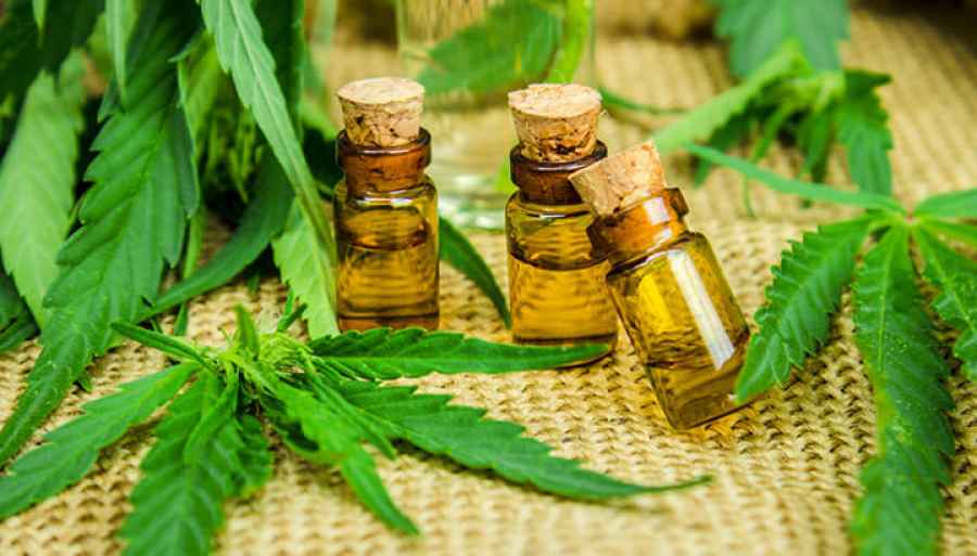 Brasil: Primer medicamento 100% a base de cannabidiol