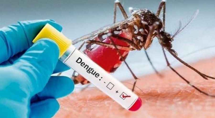 TAK-003 está en estudio para prevenir el dengue provocado por cualquiera de los cuatro serotipos del virus en personas de entre 4 y 60 años.