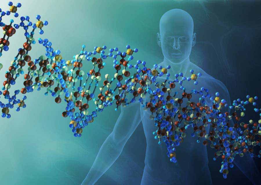 Inmunoterapia contra el c&aacute;ncer