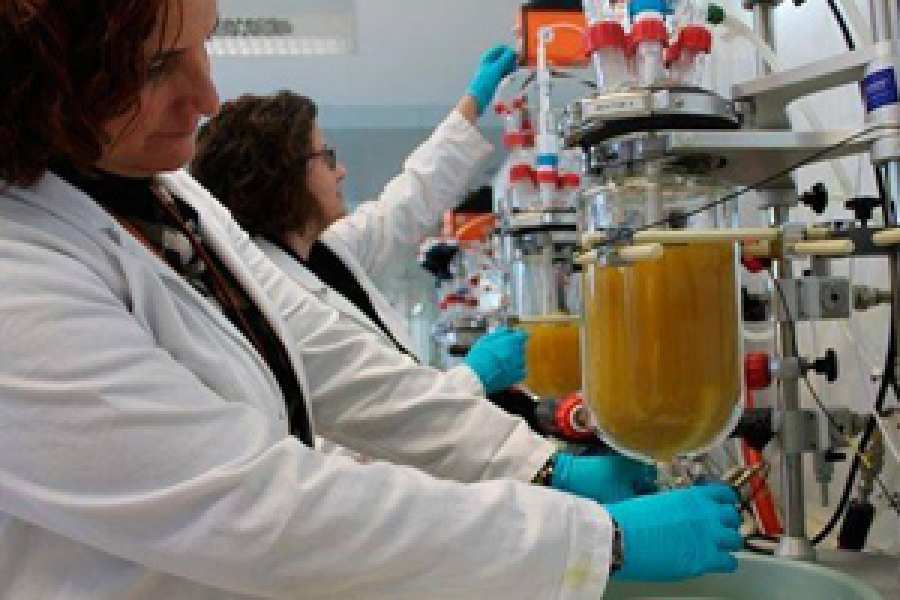 Este ‘digestor dinámico in vitro’ reproduce las condiciones naturales del tracto gastrointestinal humano