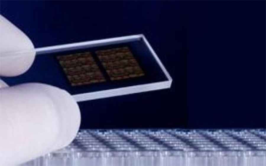 Investigadoras argentinas desarrollan chip que detecta en forma r&aacute;pida a una bacteria pat&oacute;gena