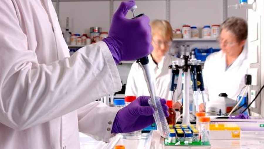 En investigación: Una nueva molécula contra la aterosclerosis y la miocarditis