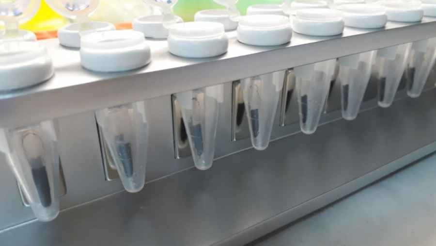 Se trata de una innovaci&oacute;n que permite extraer el componente gen&eacute;tico y brindar resultados m&aacute;s r&aacute;pidos y econ&oacute;micos.