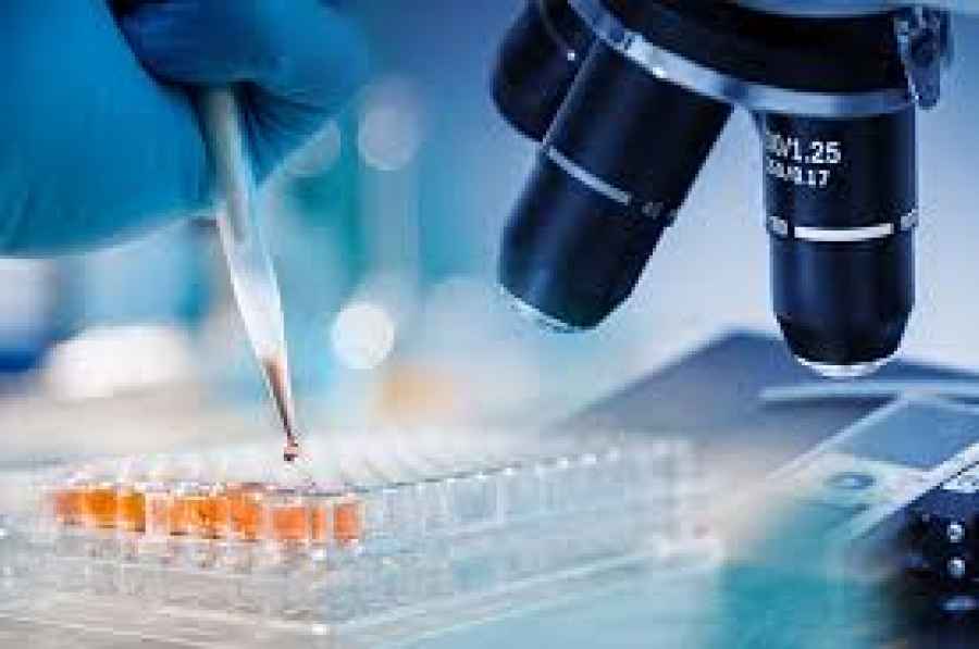 Un banco de muestras biol&oacute;gicas para investigaci&oacute;n