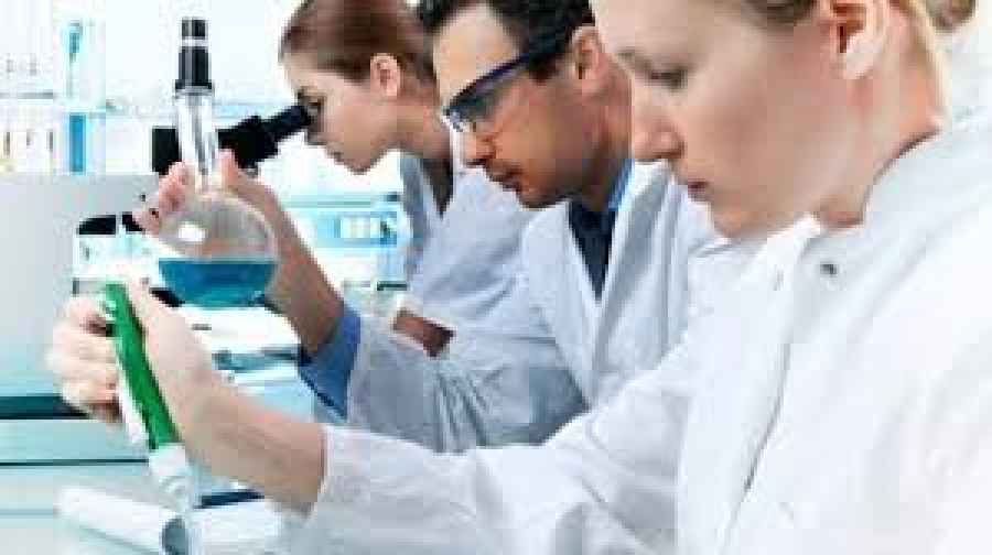 Científicos del MIT crean una terapia para regenerar los cartílagos con artrosis