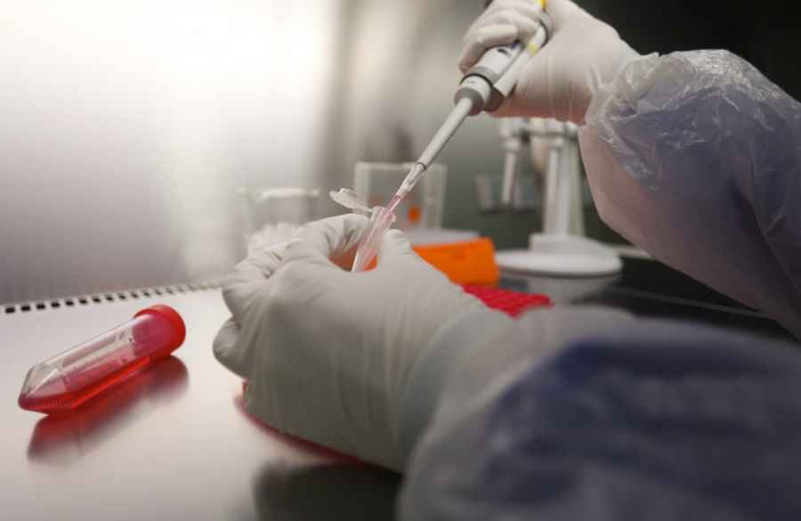 Desarrollan el primer fármaco que bloquea la diseminación metastásica en cáncer colorrectal