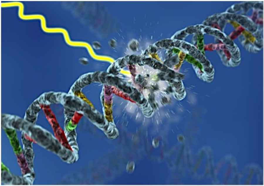 Los compuestos químicos que dañan el ADN y producen cáncer