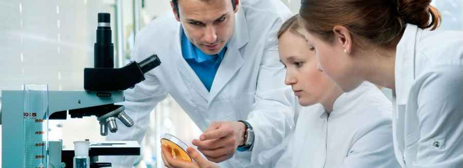 Investigadores argentinos crean plataforma de b&uacute;squeda de nuevas drogas oncol&oacute;gicas