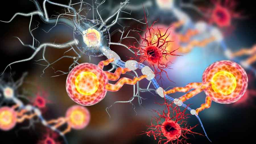 Neuronas dañadas convertidas en nuevas: el secreto está en las células gliales