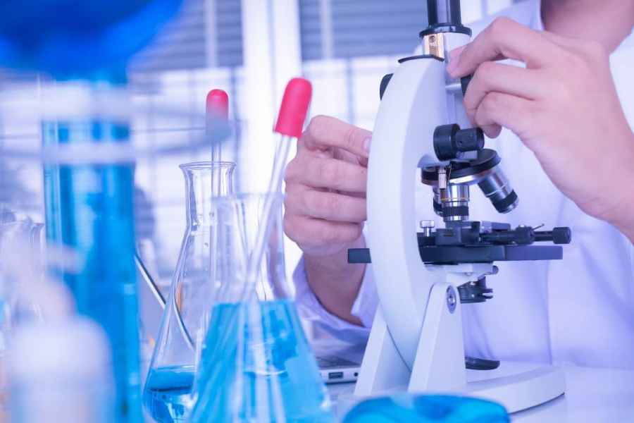 C&oacute;mo los hongos producen compuestos con posibles aplicaciones farmac&eacute;uticas