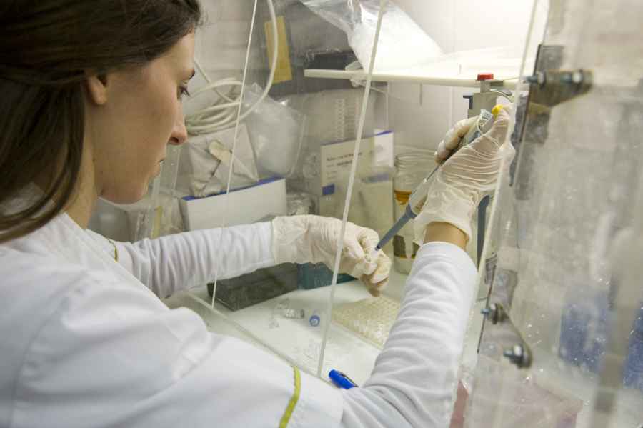 Entre 2006 y 2015 baj&oacute; un 40% la solicitud de patentes argentinas en Ciencia y Tecnolog&iacute;a