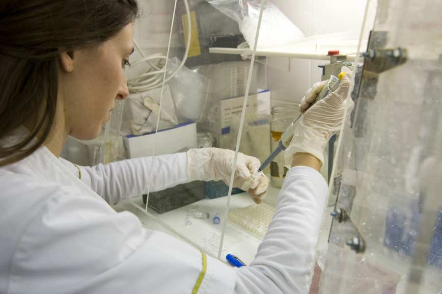 Las universidades incorporar&aacute;n a 340 investigadores del Conicet