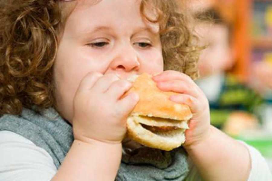 El Panorama de Seguridad Alimentaria y Nutricional elaborado por la OPS/OMS y la FAO ubica a la Argentina primera en el r&aacute;nking regional de obesidad.