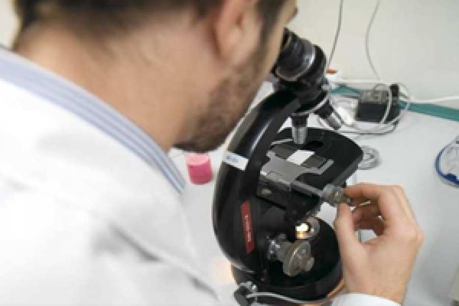 Consorcio internacional prev&eacute; aprobar 1.000 f&aacute;rmacos para enfermedades raras