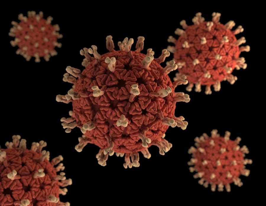 El caparazón proteico del rotavirus encierra las claves de la infección