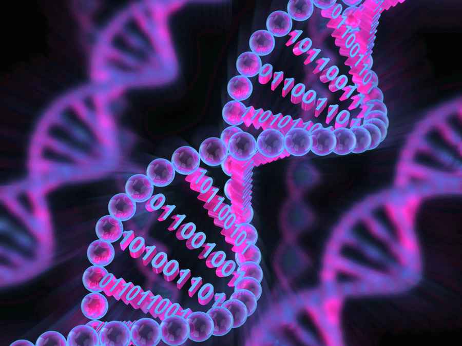 ¿Cómo determinan los genes la inmunidad entre las especies?