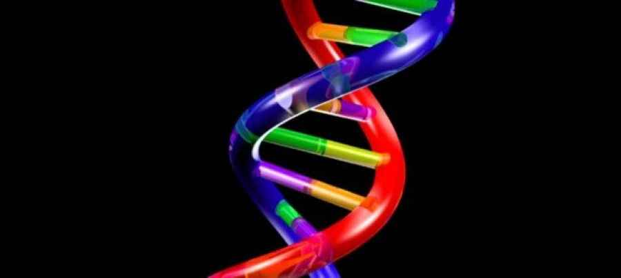 Pel&iacute;culas moleculares de ARN gu&iacute;an el descubrimiento de f&aacute;rmacos