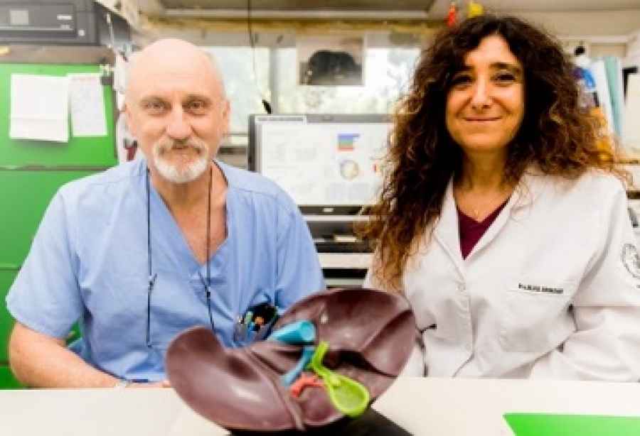 Es una investigación de científicos del CONICET quienes hicieron un metaanálisis que incluyó los datos de 16 estudios clínicos que sumaron la evolución de 24,676 pacientes con COVID-19 que eran hipertensos.