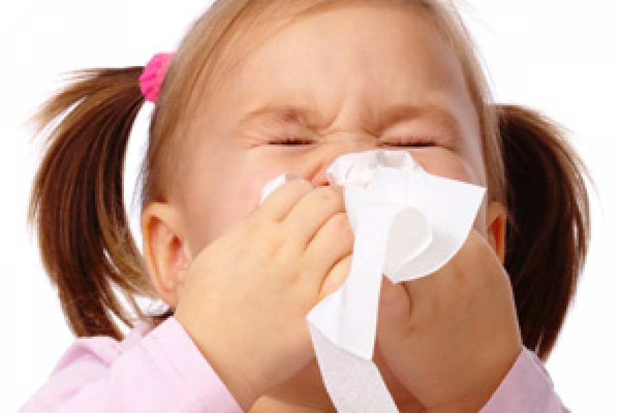 La desnutrici&oacute;n afecta la respuesta inmune y aumenta de este modo la susceptibilidad a infecciones, especialmente respiratorias. 